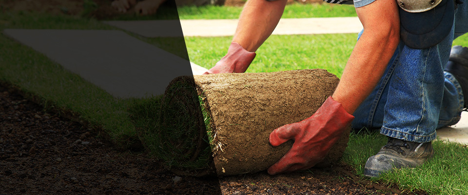 Chehalis Landscapers